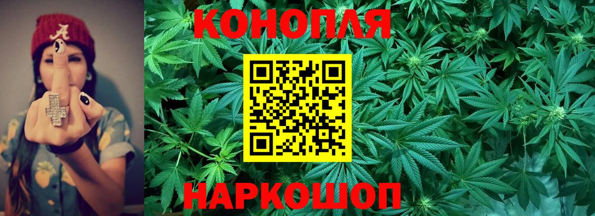 Канабис план Красный Сулин